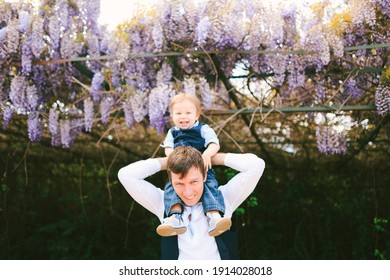 Baby boy is sitting on his dad's shoulders under a wysteria tree