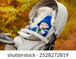 Baby boy in stroller. Child in pram in winter. Warm clothing for active walks with baby during cold season. Cute little kid in knitted hat and jacket sitting in pushchair. Infant in buggy.