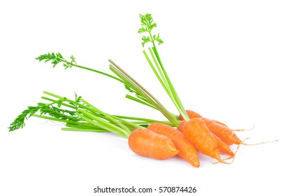 Baby Carrot Sticks Isolated On White