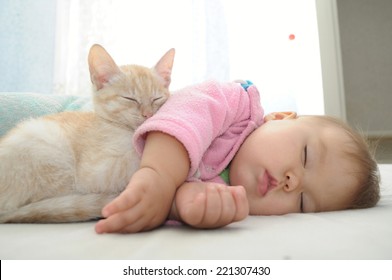 Chat De Bebe Images Stock Photos Vectors Shutterstock