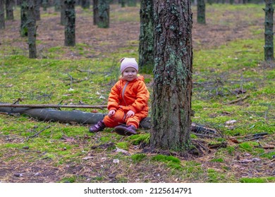 Baby caucasian girl is resting in the forest in autumn. A child is sitting on a log in a pine forest.