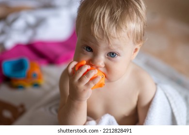 Baby Chewing On A Rubber Toy