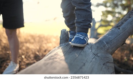 baby child play in the nature park. close-up kid feet walking on a fallen tree log. happy family baby dream concept. a child in sneakers walk on a fallen lifestyle tree in park - Powered by Shutterstock