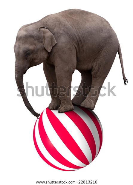 Baby Circus Elephant Balancing Big Stock-foto nu) 22813210
