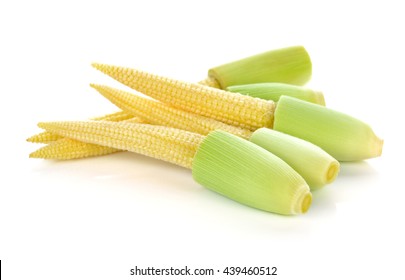 Baby Corn Isolated On White Background