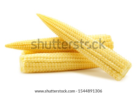 baby corn, isolated on white background, clipping path, full depth of field