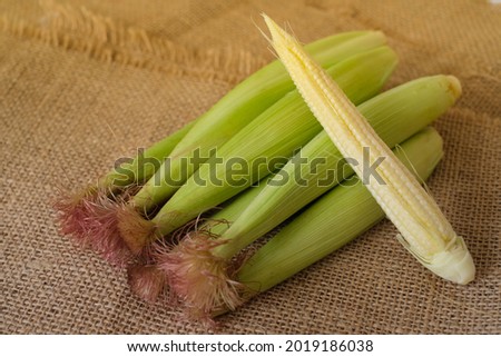 The baby corns isolted on the sackcloth over wooden table background. 
