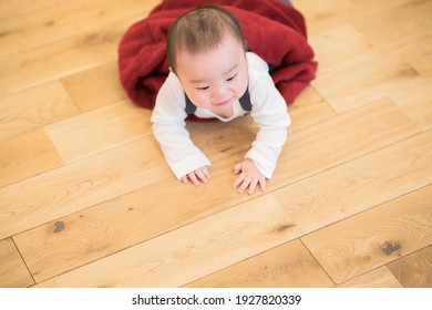 Baby Crawling On The Floor