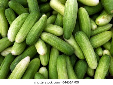 Baby Cucumbers