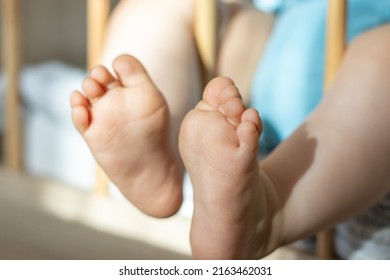 Baby Cute Little Feet Out Of Crib,toddler Bed,through Wooden Bars Or On White Blanket,bedroom.morning Sun.maternity,motherhood Concept.adorable Infant Feet. Childcare.