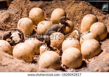 Baby dinosaur eggs hatching under warm natural sun light. The life cycle of a tyrannosaurus from embryo to breathing creature. Ancient predators, history concepts, evolution, and geology themes.
