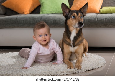 Baby With Dog