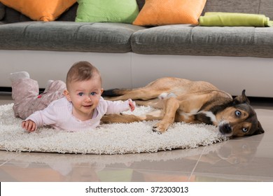 Baby With Dog