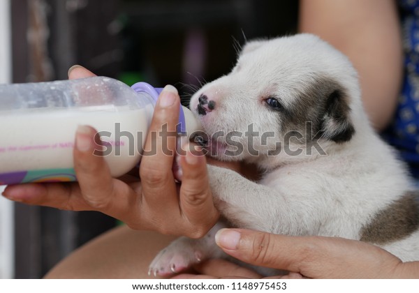 baby feeding with spoon