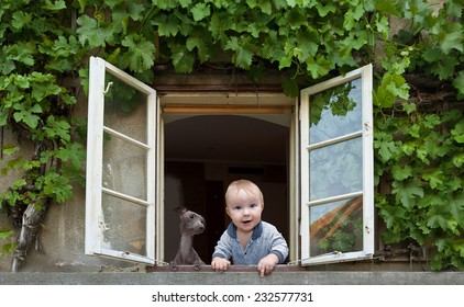 Baby And Dog Looking Out The Window