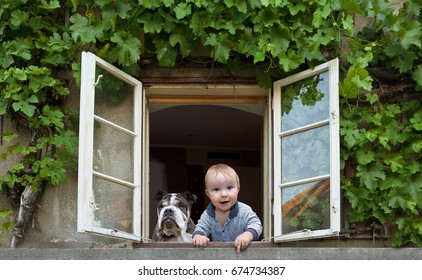 Baby And Dog Looking Out The Window