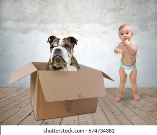 Baby and dog playing in a paper box