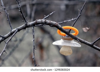 Baby Dummy Hanging On Tree. Lost Dummy. Baby Kidnapping Concept.