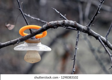 Baby Dummy Hanging On Tree. Lost Dummy. Baby Kidnapping Concept.