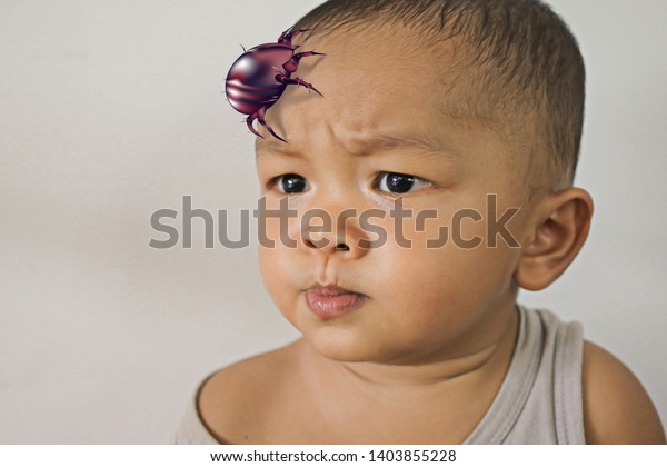 Baby Dust Mites Dust Mite Expansions Stock Photo Edit Now 1403855228