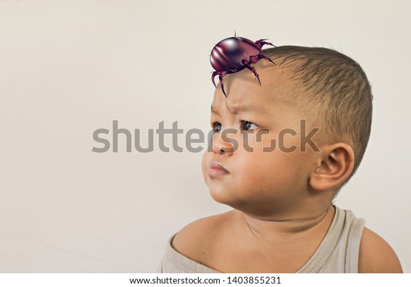 Baby Dust Mites Dust Mite Expansions Stock Photo Edit Now 1403855231