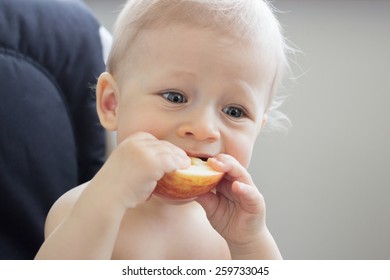 Baby Eating Apple.