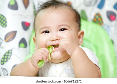 Baby Eating On Baby Chair