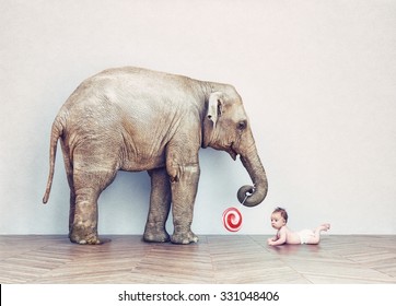 baby elephant and human baby in an empty room. Photo combination concept