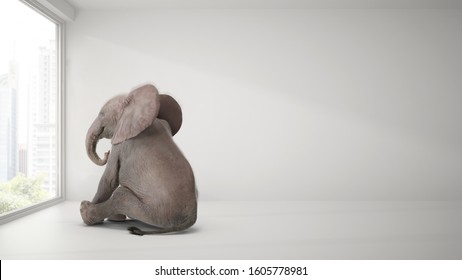 elefante bebé sentado en la habitación y viendo la ciudad