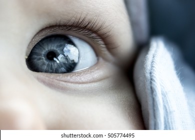 Baby Eye Detail Photo