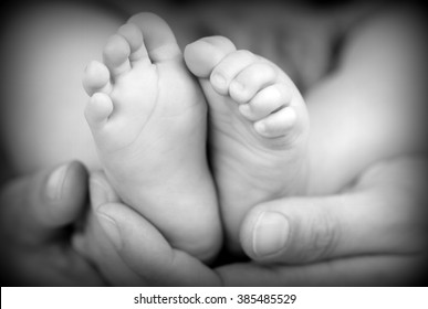 Baby Feet In Hands