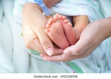Baby feet in mother hands, Mom and her Child, Happy Family concept,Beautiful conceptual image of Maternity.