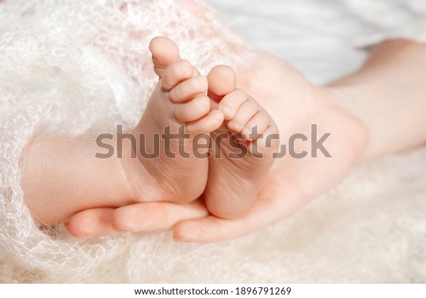 Baby feet in\
mother hands. Mom and her child. Happy family concept. Beautiful\
conceptual image of\
Maternity