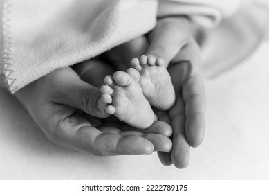 Baby Feets In Daddy's Hands