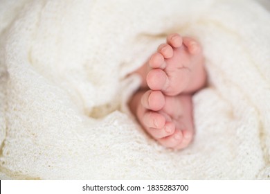 Baby Feets In White Bed