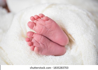 Baby Feets In White Bed