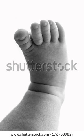 Similar – little feet Feet