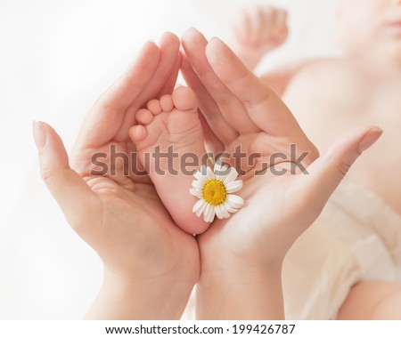 Baby foot Ã?Â??Ã?Â??Ã?Â�Ã?ÂµÃ?Â?? camomile in mommy's hands, shallow DOF.