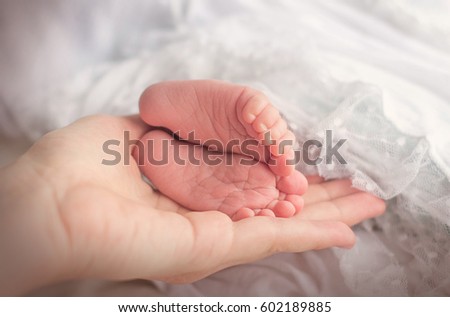 baby foot on the hand of his mother on white background
Selective photo