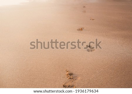 Baby footprints in the sand on the beach