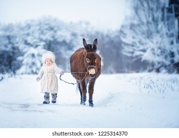 Baby in a fur hat with a donkey. Image with selective focus and toning.