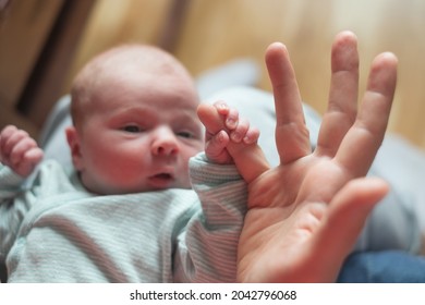 baby girl holding mother finger. Grasping reflex of newborn - Shutterstock ID 2042796068