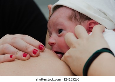 Baby Girl Just Born Nursing For The First Time