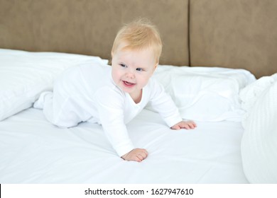 Baby Girl Is Learning How To Crawl. Standing On All Fours