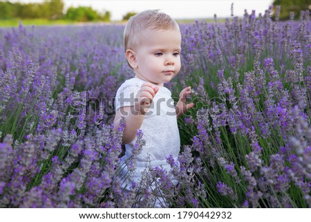 Similar – lavender freedom Lifestyle