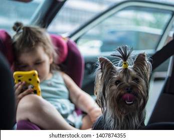 Baby Girl With A Phone And Small Dog Travels In A Car Seat In The Front Seat Of A Car On A Hot Summer Day