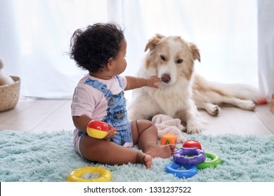 Baby Girl Sitting On Floor Playing With Family Pet Dog, Child Friendly Border Collie