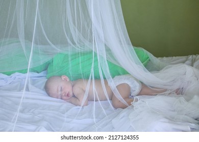 Baby girl sleeping under mosquito net inside a bungalow