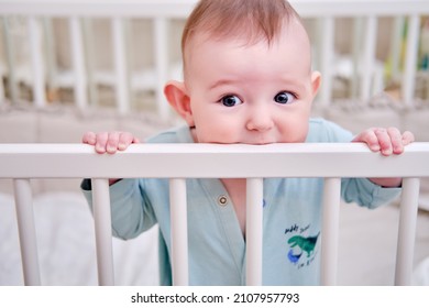 Baby gnaws at the edge crib during teething itching. Funny child scratching his teeth on the rail bed, age six months