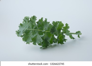 Baby Green Kale